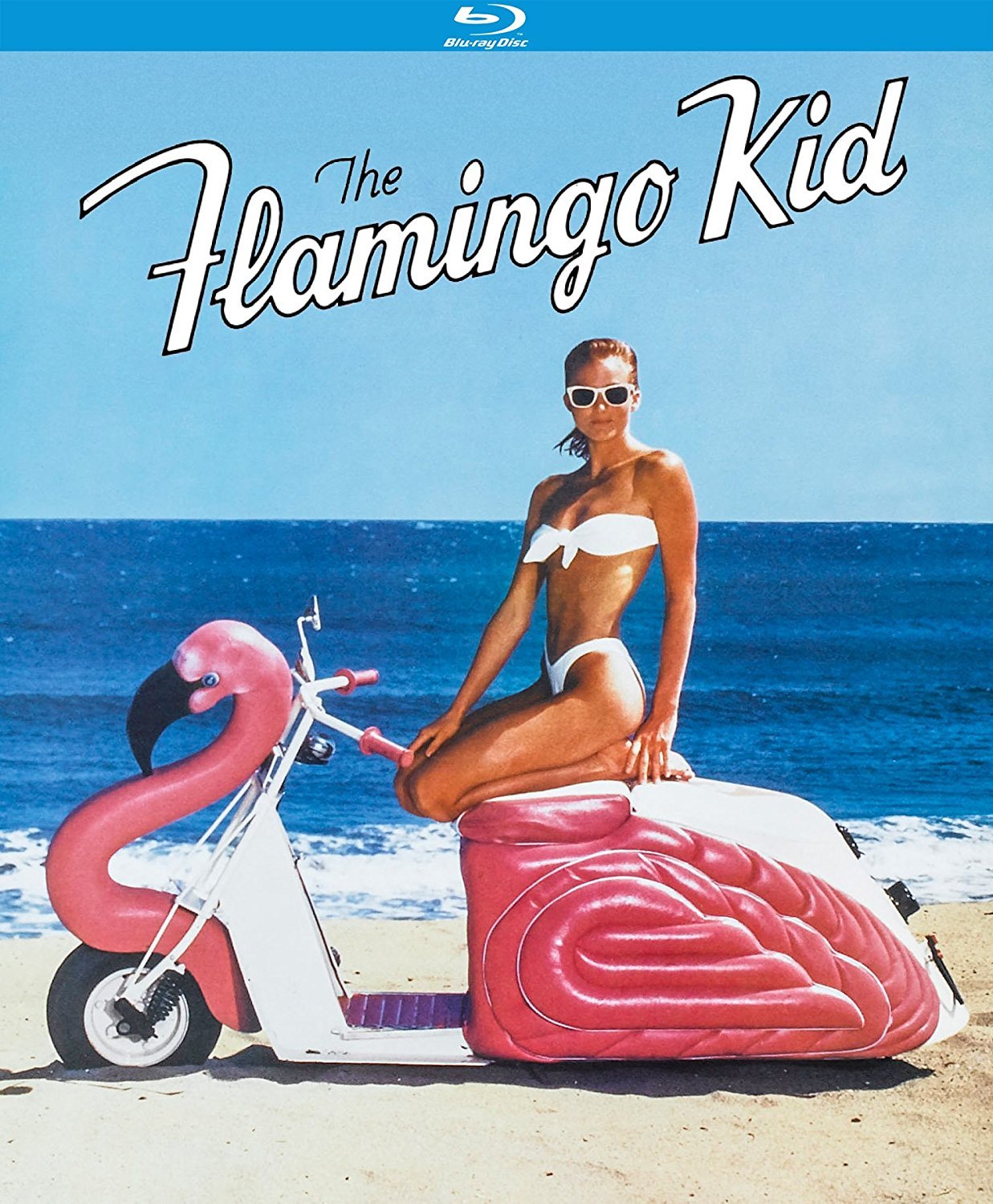The Flamingo Kid (1984) BluRay 1080p HD VIP