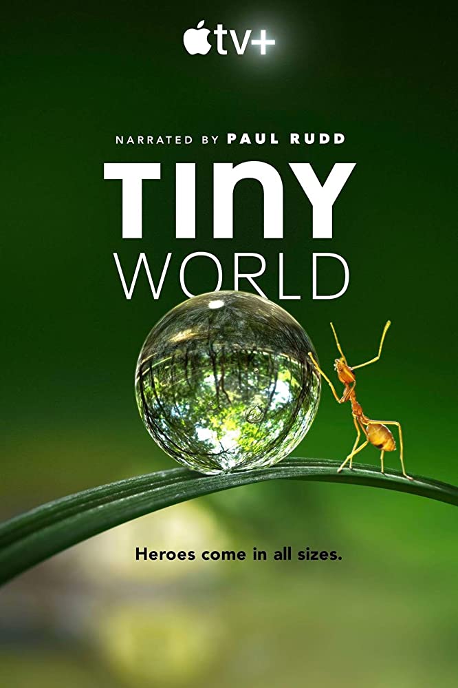 Tiny World (2020) Serie de TV Primera Temporada 720p HD