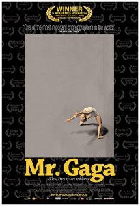 Mr. Gaga (2015) WEBRip 1080p HD