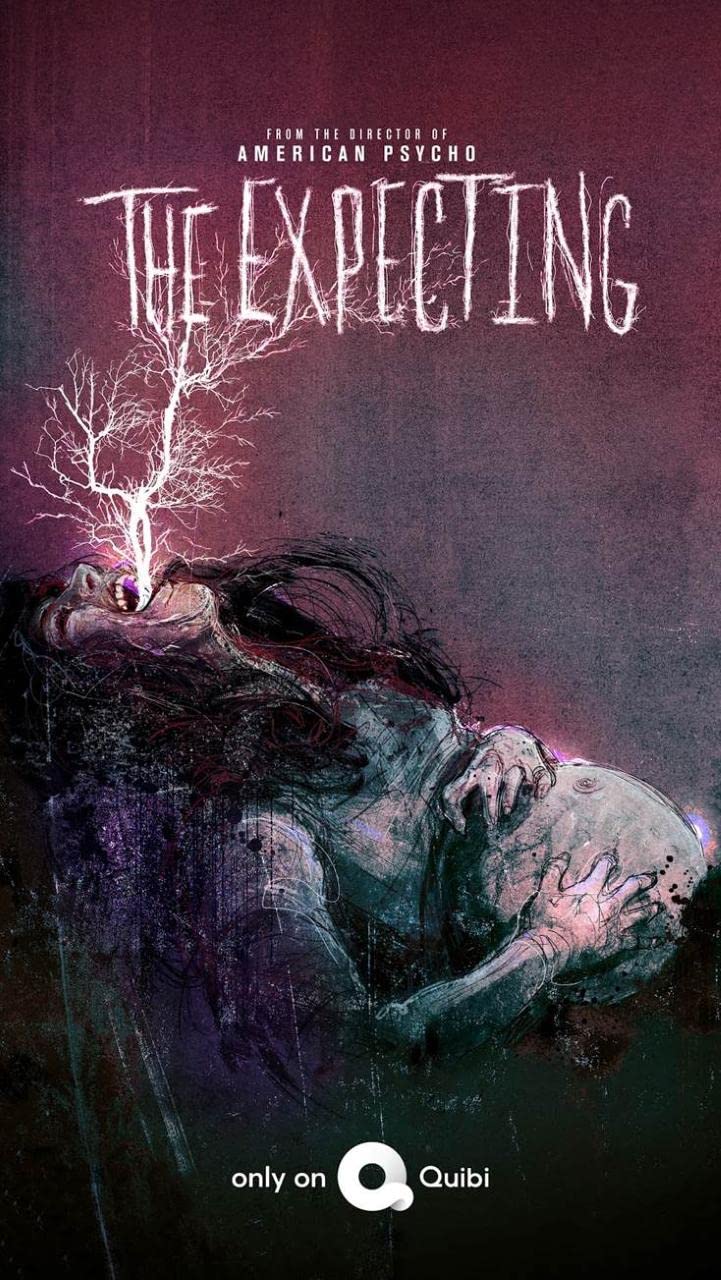 The Expecting (2020) Serie de TV Primera Temporada 720p HD