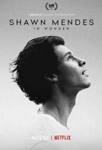 Shawn Mendes: In Wonder (2020) WEBRip 1080p HD