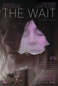 The Wait (2013) WEBRip 1080p HD