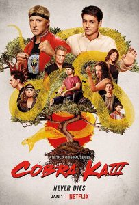 Cobra Kai (2018) Serie de TV Tercera Temporada (2020) 720p HD