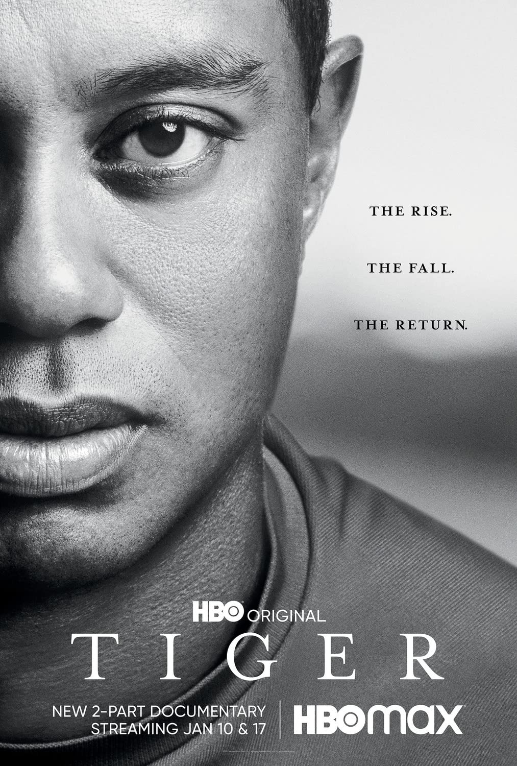 Tiger (2021) Miniserie de TV Primera Temporada 720p HD