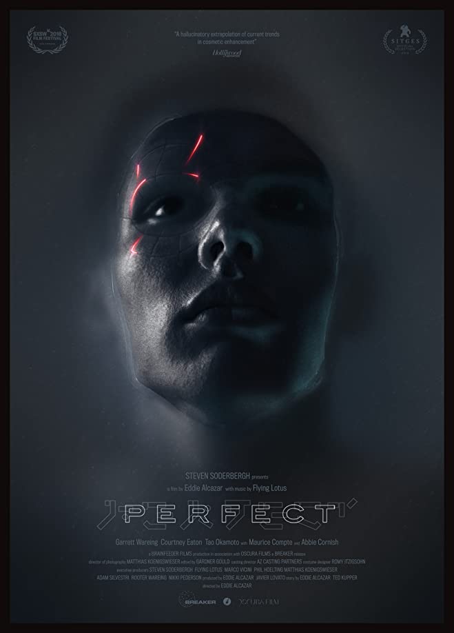 Perfect (2018) WEBRip 1080p HD