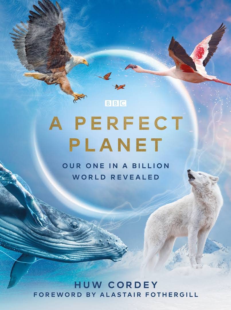 A Perfect Planet (2021) Serie de TV Primera Temporada 720p HD