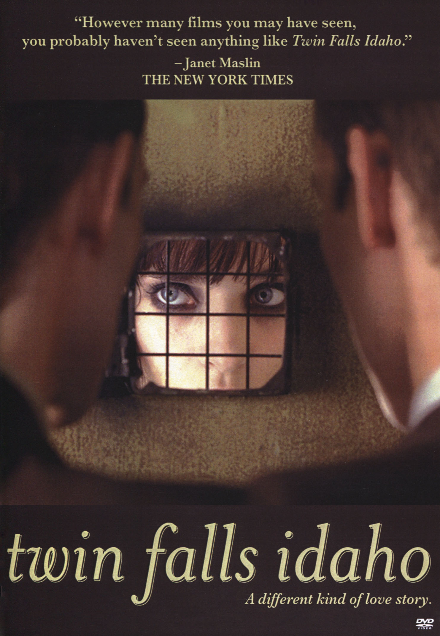Twin Falls Idaho (1999) DVDRip VIP