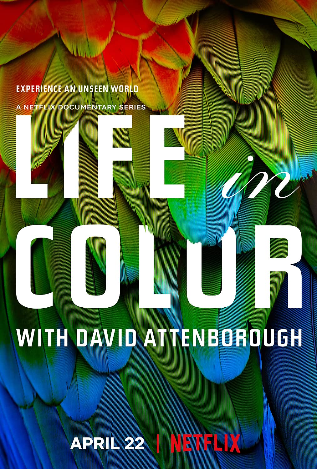 Life in Colour (2021) Serie de TV Primera Temporada 720p HD