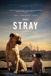 Stray (2020) BluRay 1080p HD