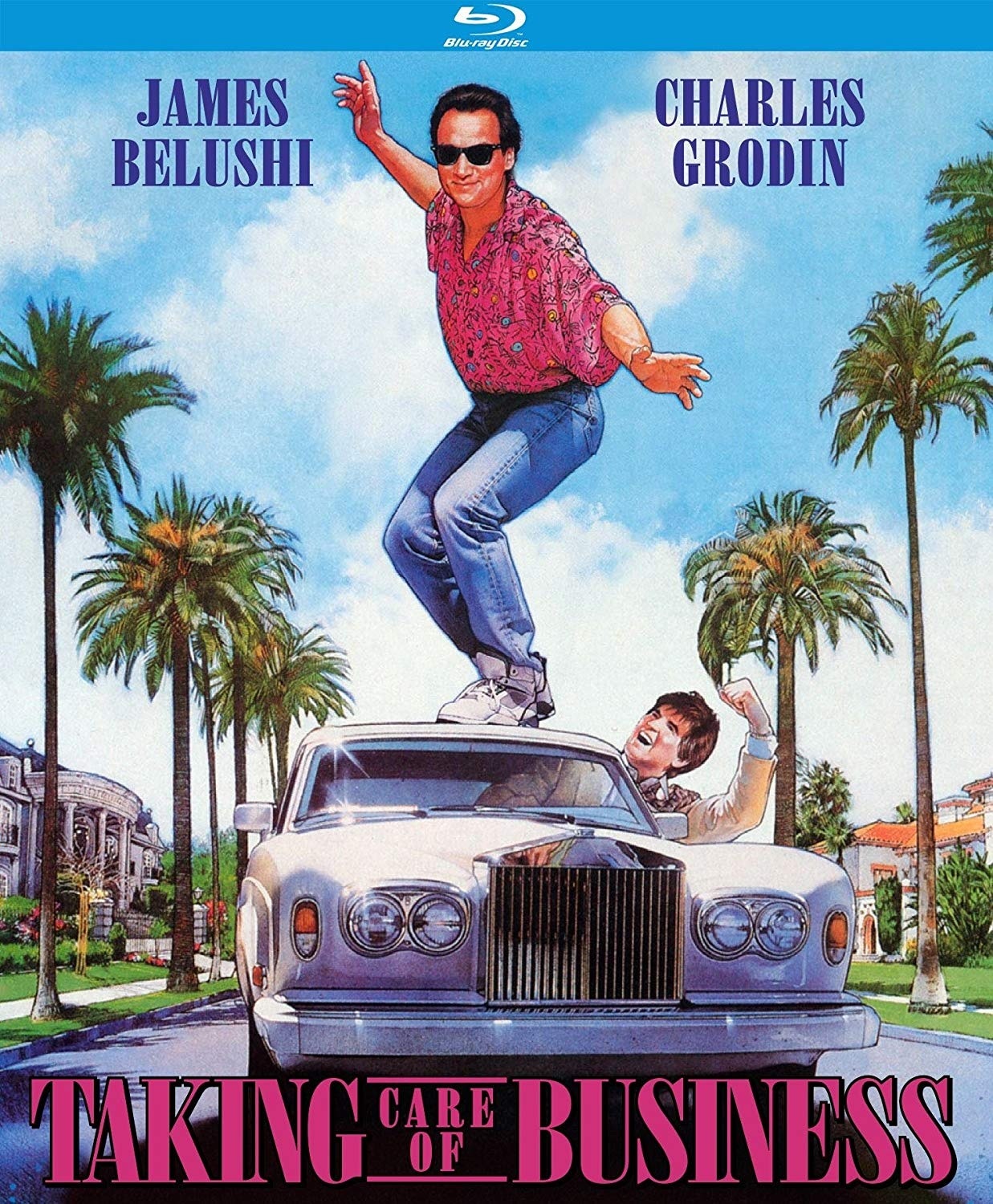 Taking Care of Business (1990) BluRay 1080p HD VIP