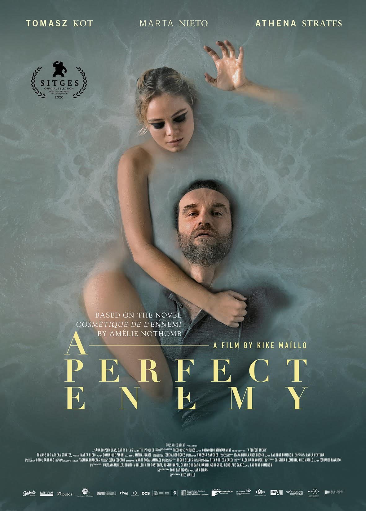 A Perfect Enemy (2020) WEBRip 1080p HD
