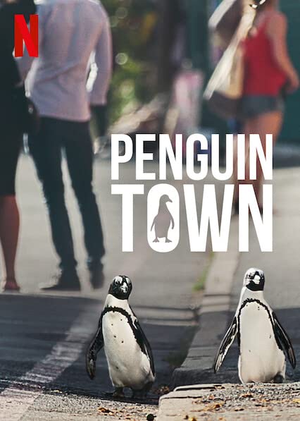 Penguin Town (2021) Serie de TV Primera Temporada 720p HD