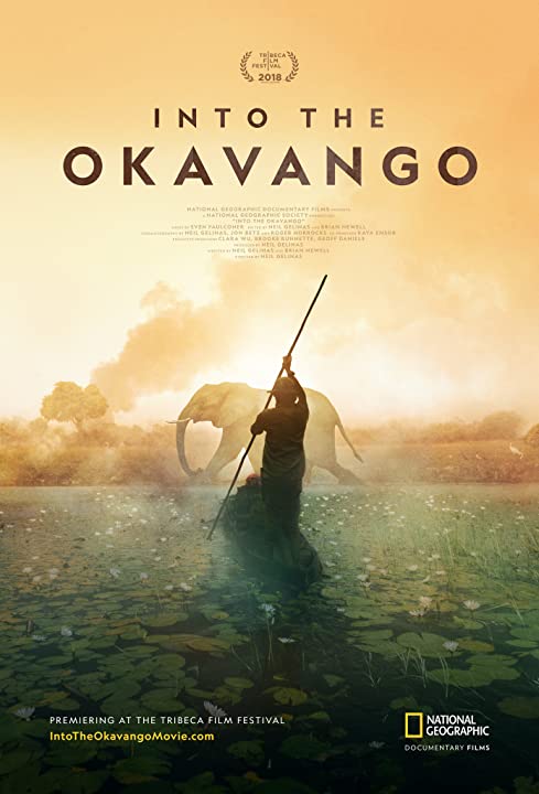 Into the Okavango (2018) WEBRip 1080p HD