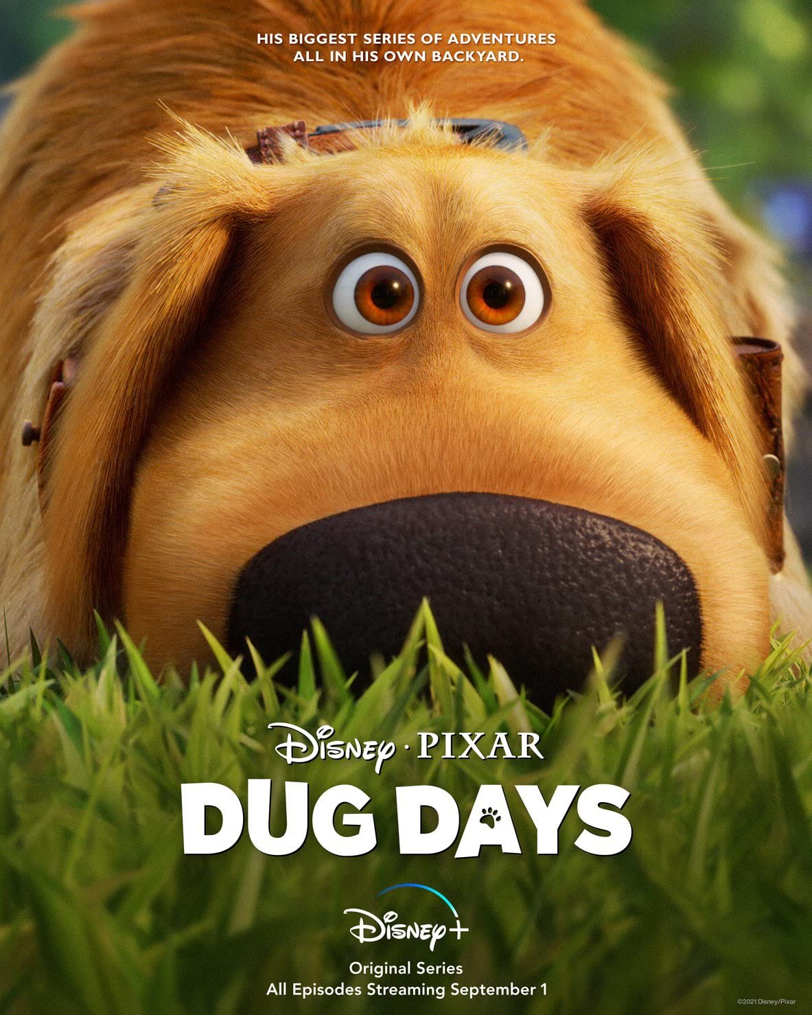 Dug Days (2021) Serie de TV Primera Temporada 1080p HD Dual Latino / Inglés