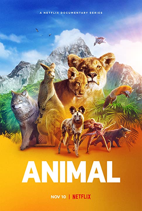 Animal (2021) Serie de TV Primera Temporada 720p HD