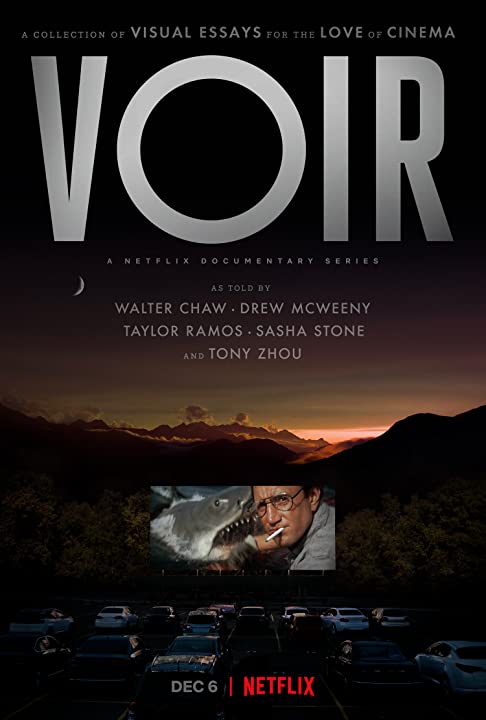 Voir (2021) Serie de TV Primera Temporada 720p HD