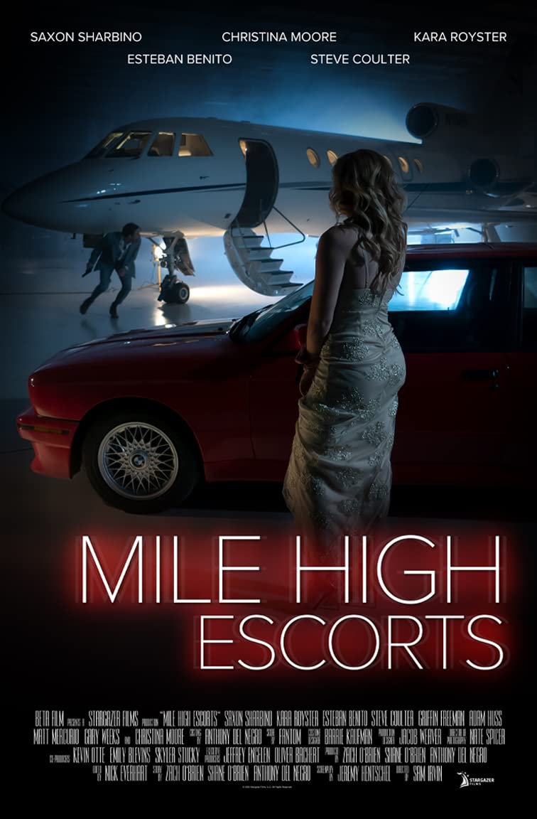 Mile High Escorts (2020) WEBRip 1080p HD