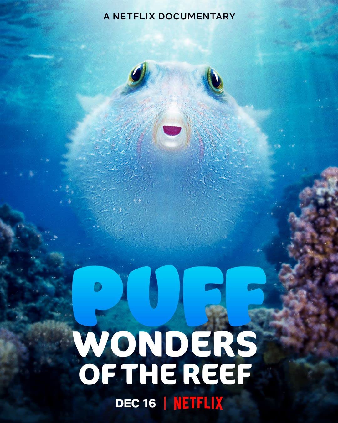 Puff: Wonders of the Reef (2021) WEBRip 1080p HD