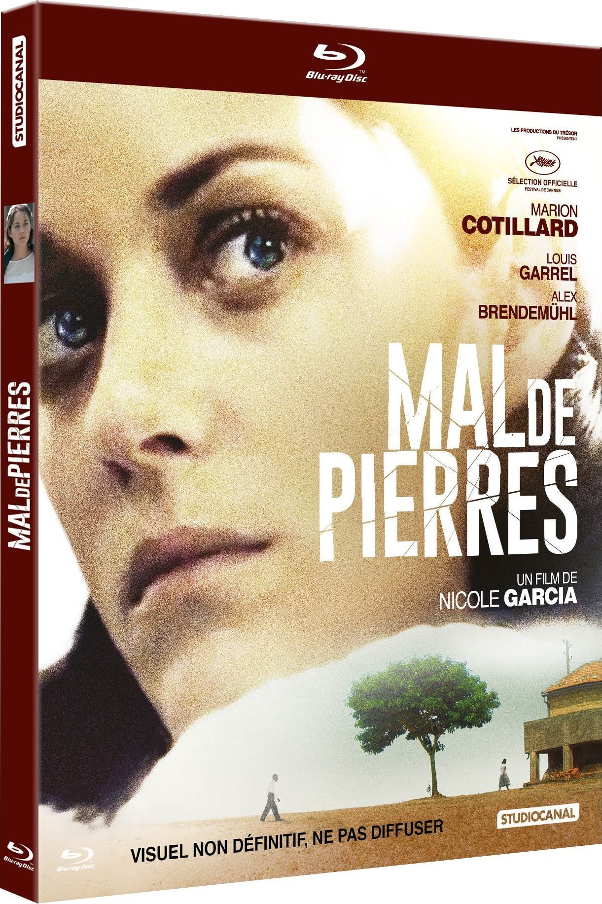 Mal de pierres (2016) BluRay 1080p HD VIP