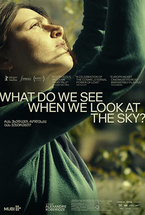 What Do We See When We Look at the Sky? (2021) WEBRip 1080p HD