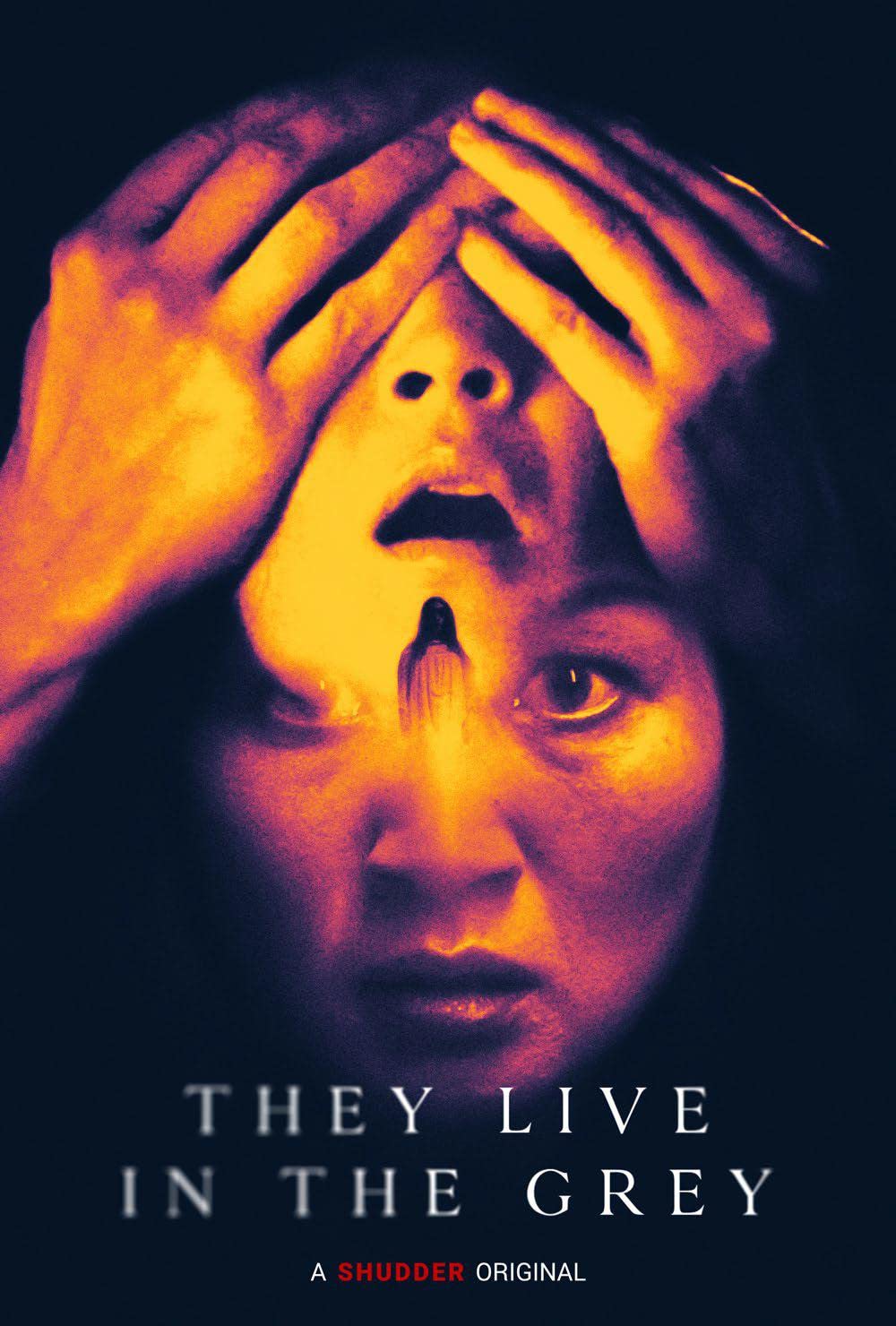 They Live in the Grey (2022) WEBRip 1080p HD