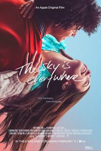 The Sky Is Everywhere (2022) WEBRip 1080p HD Dual Latino / Inglés