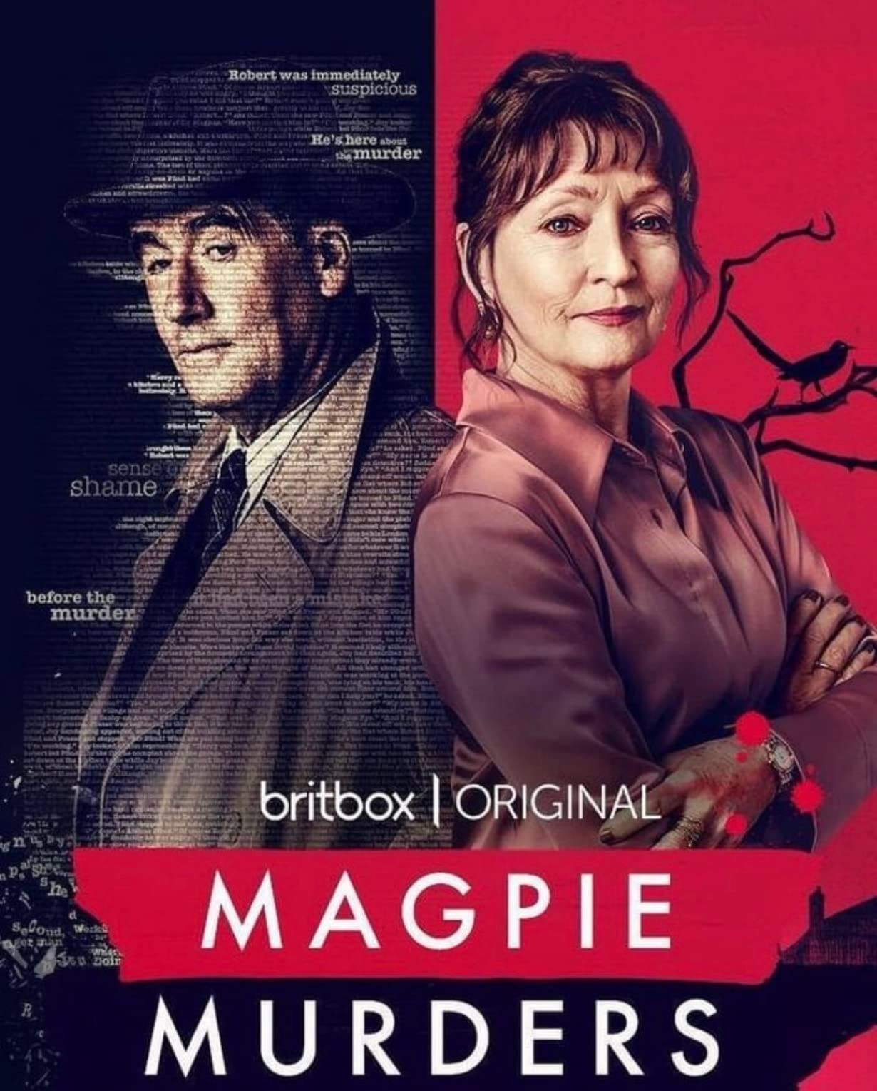 Magpie Murders (2022) Serie de TV Primera Temporada 720p HD