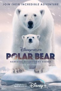 Polar Bear (2022) WEBRip 1080p HD Dual Latino / Inglés