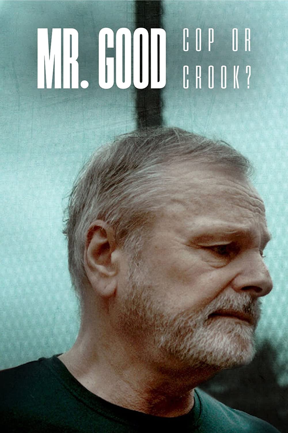Mr Good: Cop or Crook? (2022) Serie de TV Primera Temporada 720p HD