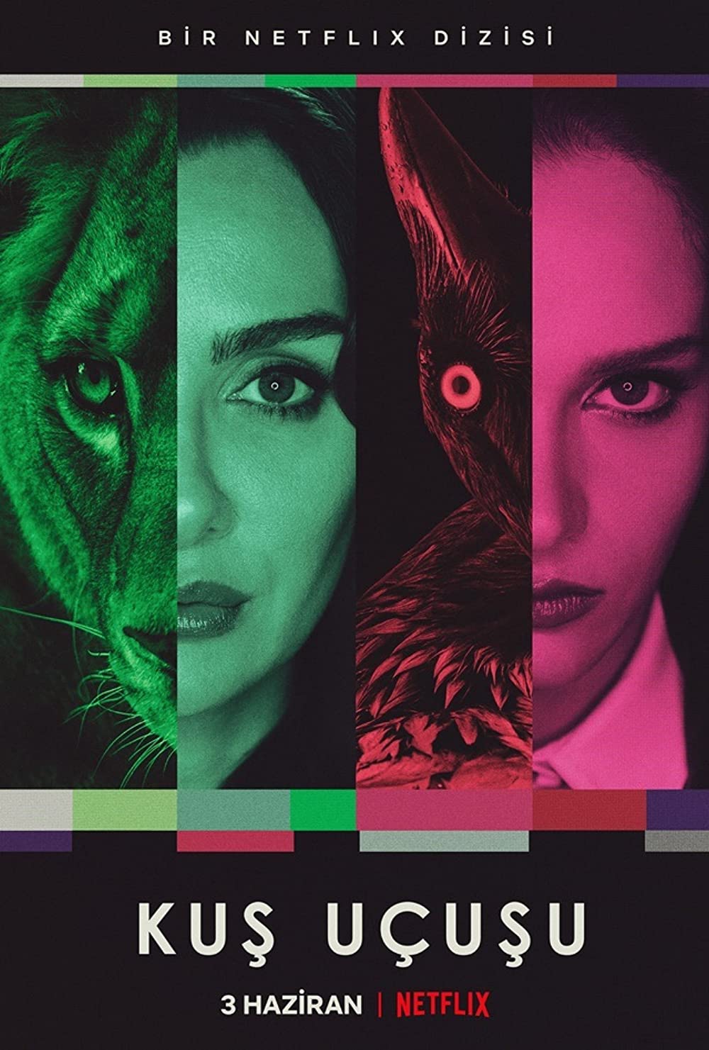 As the Crow Flies (2022) Serie de TV Primera Temporada 720p HD