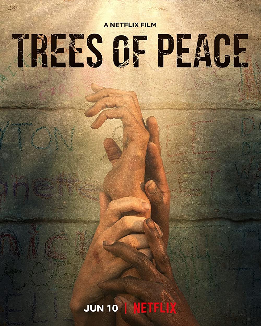 Trees of Peace (2021) WEBRip 1080p HD Dual Latino / Inglés