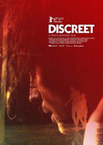 Discreet (2017) WEBRip 720p HD