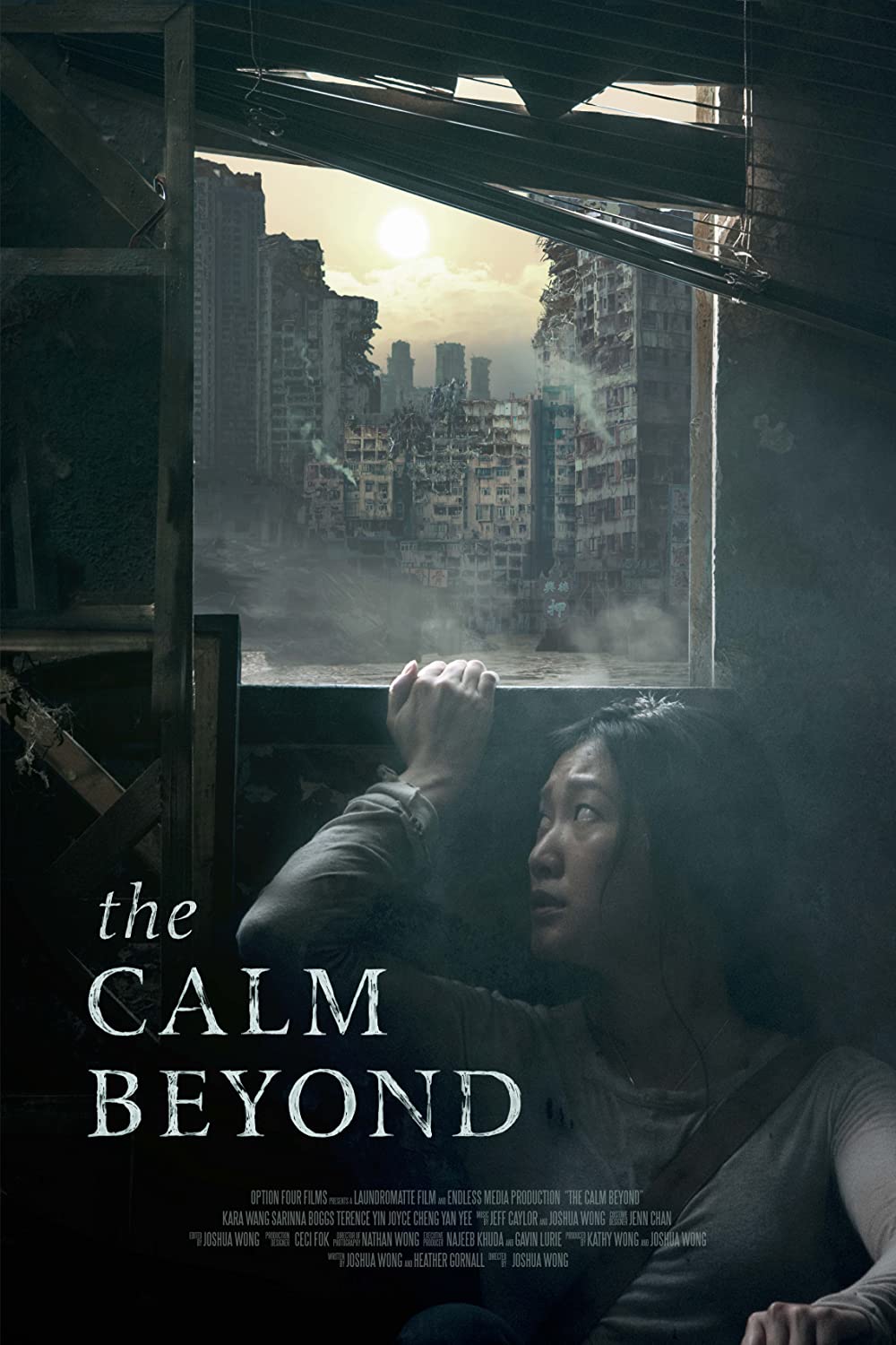 The Calm Beyond (2020) WEBRip 1080p HD