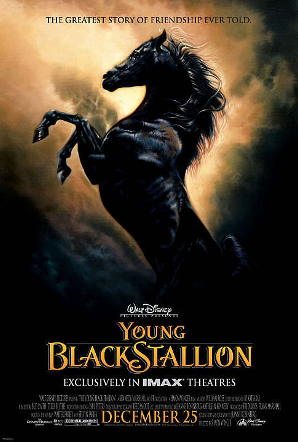 Young Black Stallion (2003) WEBRip 720p HD VIP