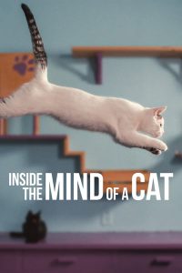 Inside the Mind of a Cat (2022) WEBRip 1080p HD Dual Latino / Inglés
