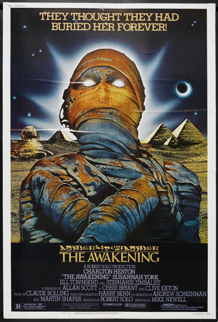 The Awakening (1980) DVDRip VIP
