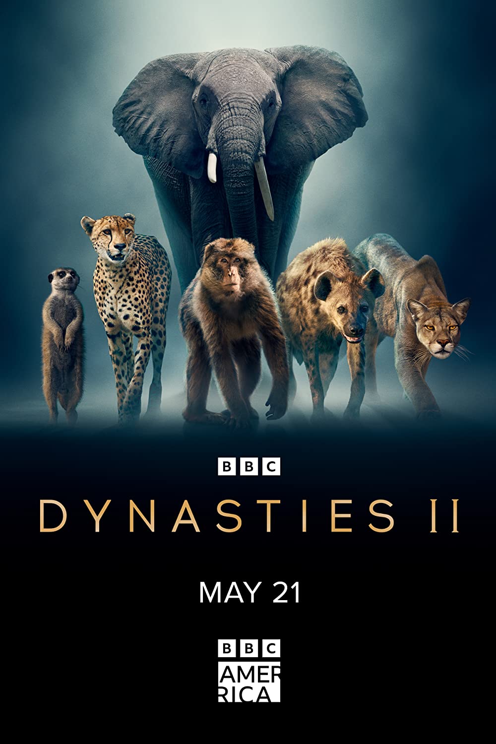 Dynasties (2022) Miniserie de TV Segunda Temporada 720p HD