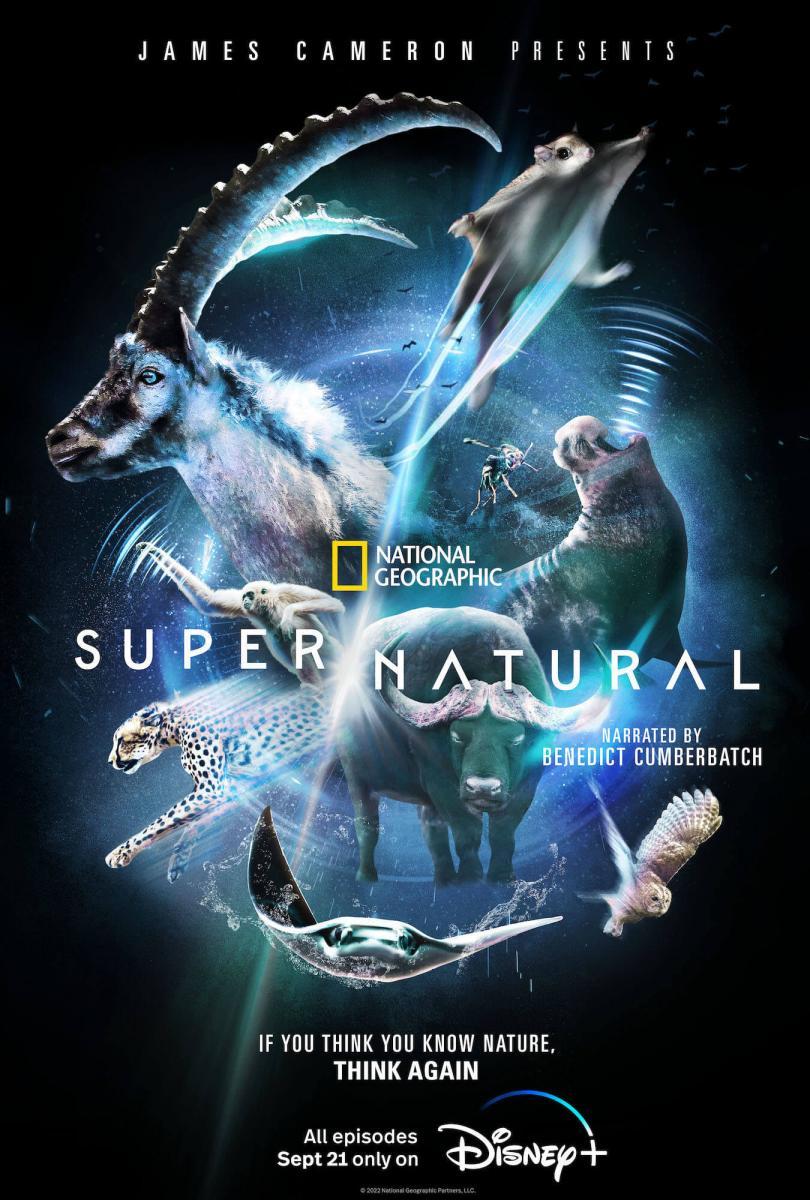 Super/Natural (2022) Serie de TV Primera Temporada 720p HD