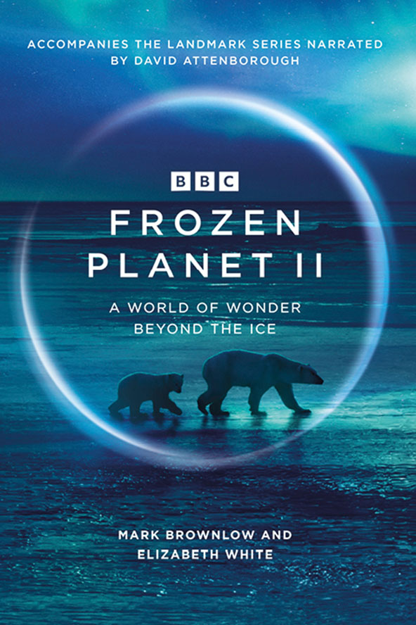 Frozen Planet II (2022) Miniserie de TV Primera Temporada 720p HD