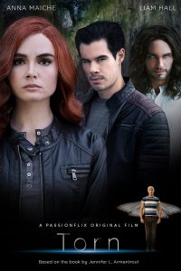 Torn: A Wicked Trilogy (2022) WEBRip 1080p HD