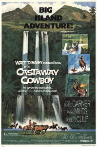 The Castaway Cowboy (1974) WEBRip 1080p HD Dual Latino / Inglés