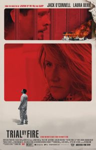 Trial by Fire (2018) WEBRip 1080p HD Dual Latino / Inglés
