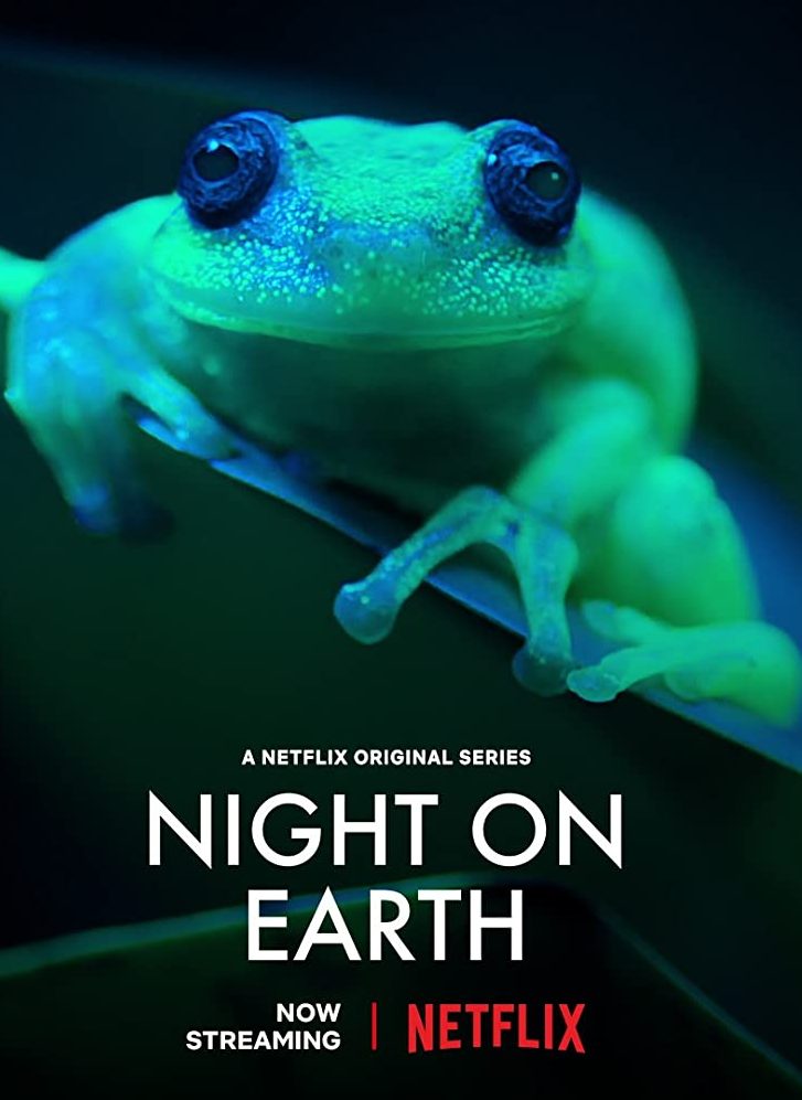 Night on Earth: Shot in the Dark (2020) WEBRip 1080p HD
