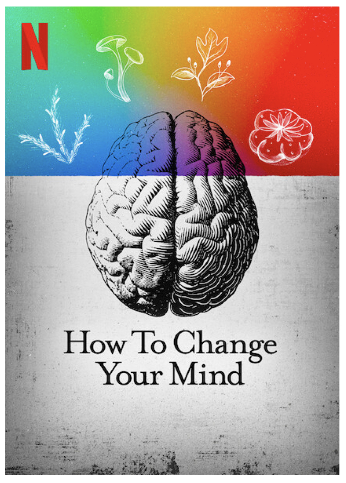 How to Change Your Mind (2022) Miniserie de TV Primera Temporada 720p HD