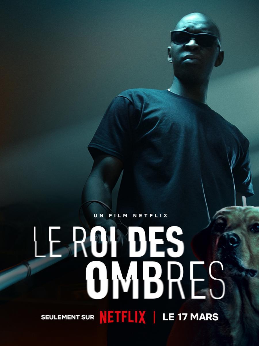 In His Shadow (2023) WEBRip 1080p HD Dual Latino / Francés