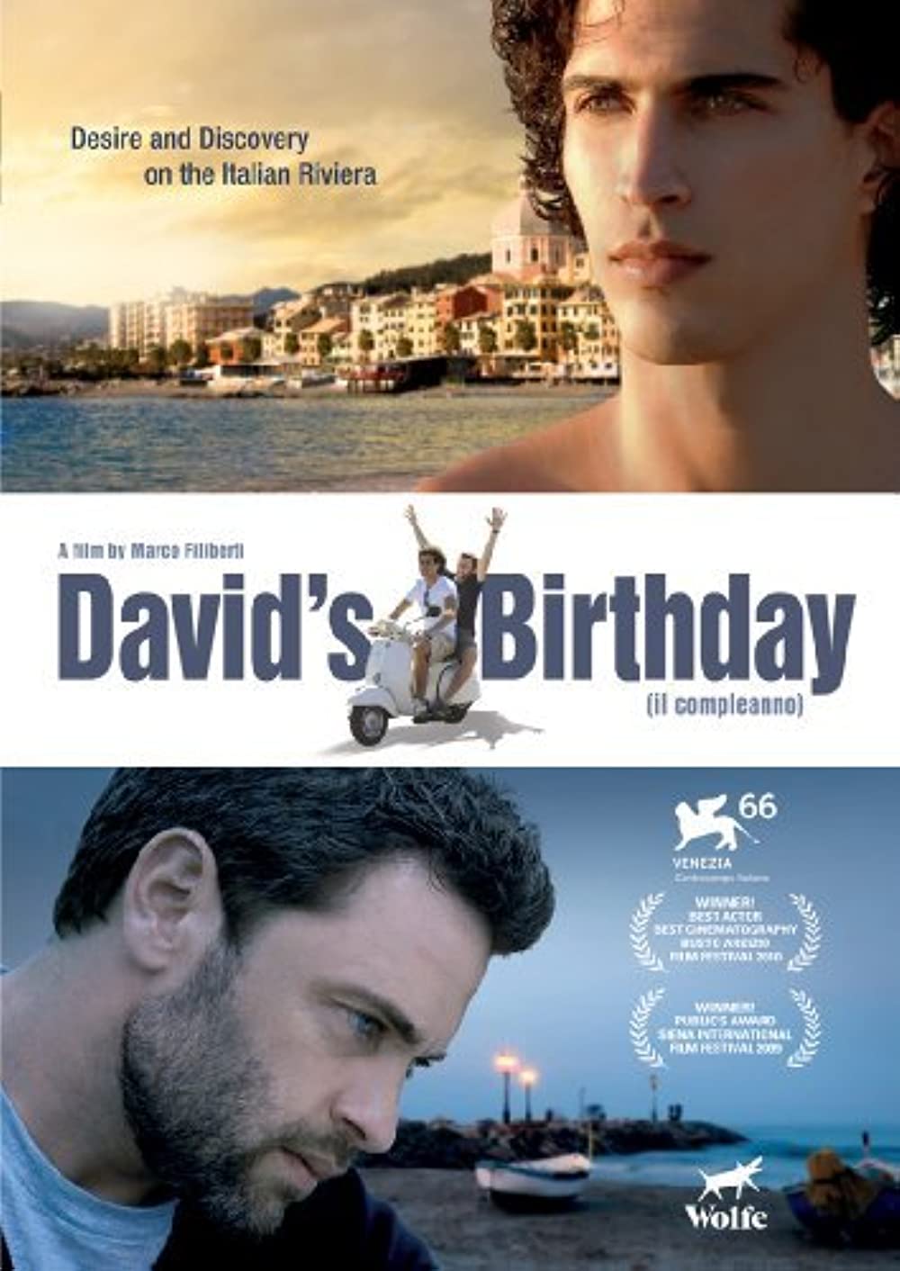 David’s Birthday (2009) DVDRip VIP