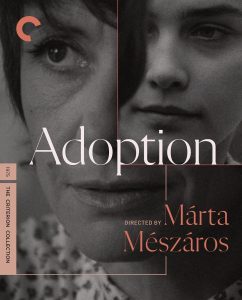 Adoption (1975) BluRay 1080p HD