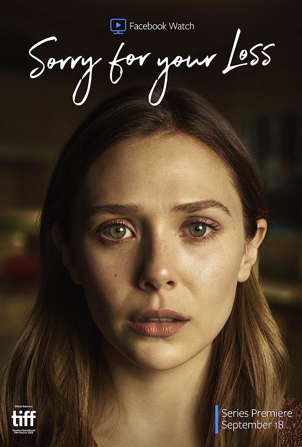 Sorry for Your Loss (2018) Serie de TV Primera Temporada 720p HD
