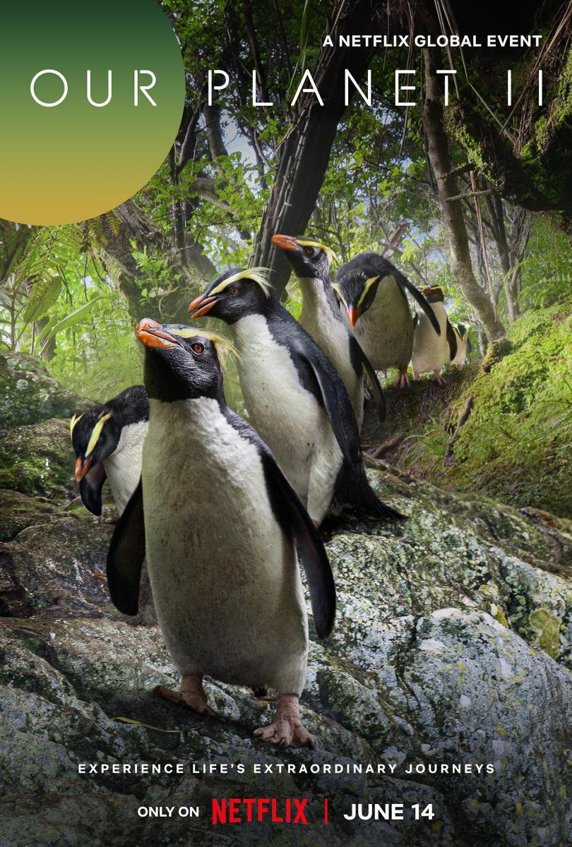 Our Planet (2019) Serie de TV Segunda Temporada (2023) 720p HD