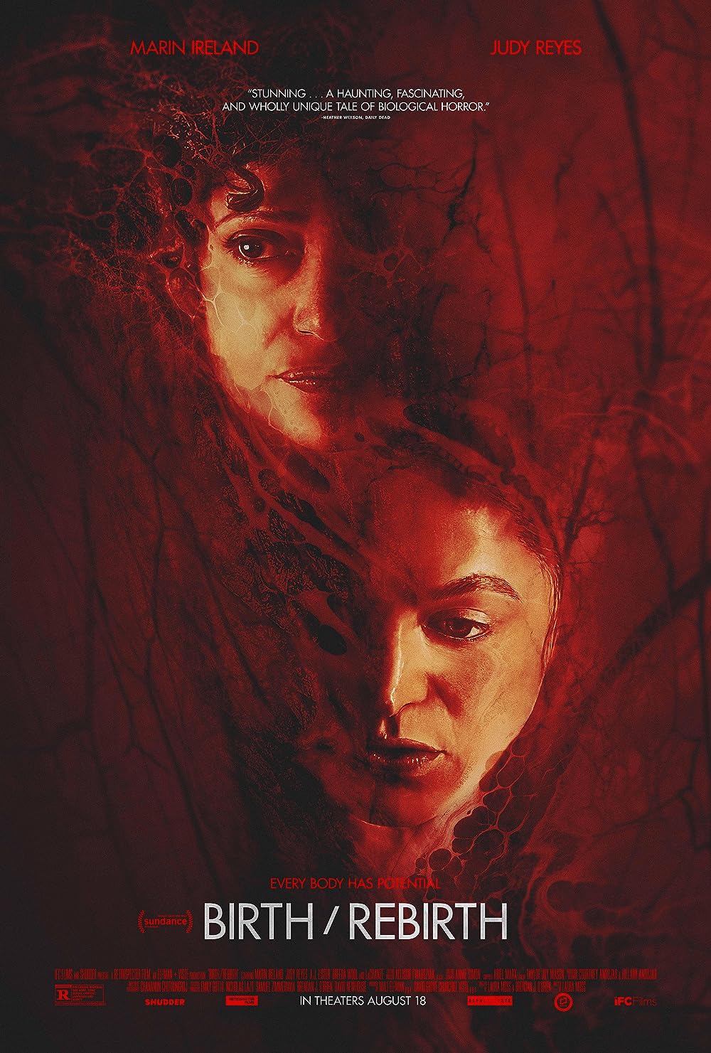 Birth/Rebirth (2023) WEBRip 1080p HD
